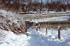 Footpath on Cleadon Hills, South Shields