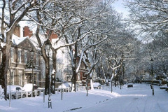 Winter in Westoe Village, South Shields