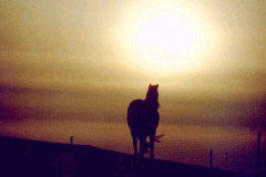 Winter Solstice on Cleadon Hills, South Shields