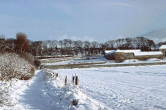 Snow on Cleadon Hills Farm, South Shields