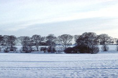 Snow on Cleadon Hills, South Shields