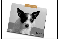 Spiro