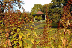 Autumn Fall, West Park, South Shields