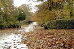 Autumn Fall, West Park, South Shields
